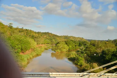 DSC_4353 (Large).JPG